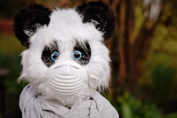 카지노 에잇 스톰 지원